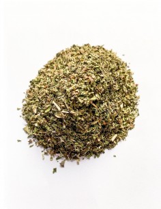 Menta Piperita