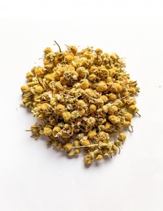Manzanilla En Flor